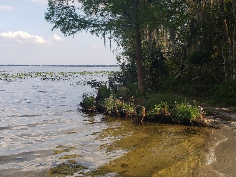 Lake June-in-Winter Scrub Preserve