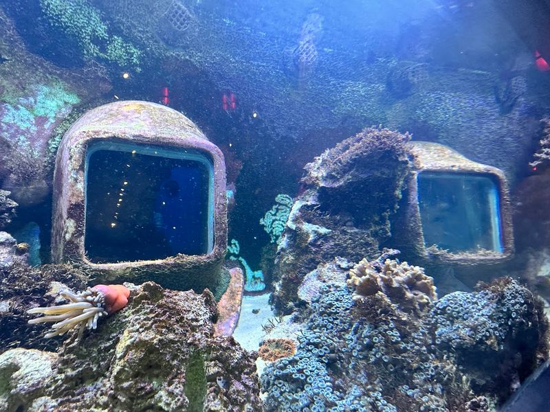 History of Diving Museum (Islamorada)