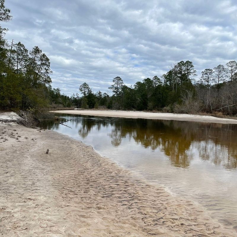 Hiking Trails Through Untouched Wilderness