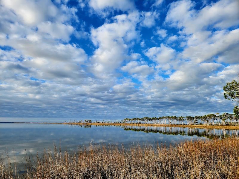 Wildlife Encounters You Won't Forget