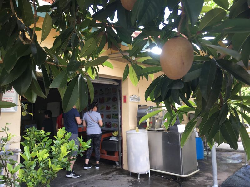 Vietnamese Fruits Garden