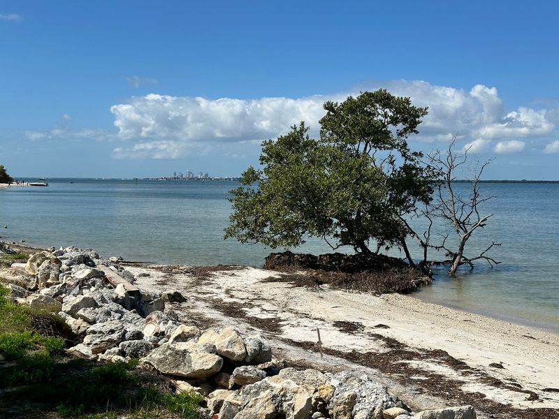 Picnic Island Park