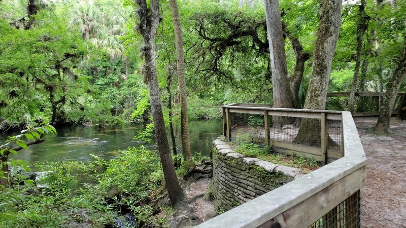 Hillsborough River State Park Trails (near Tampa)