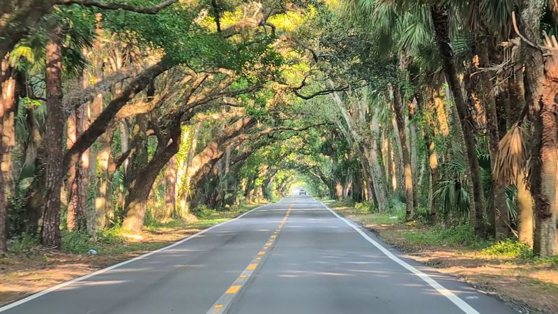 Martin Grade Scenic Highway (Martin County)