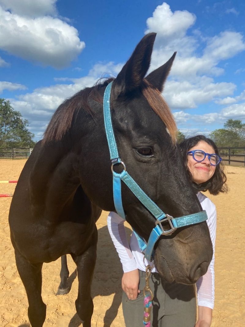 DreamCatcher Horse Ranch and Rescue (Clermont)