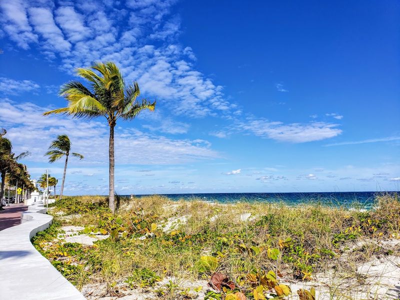Bike Trails That Loop Through Old Florida
