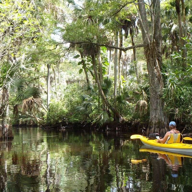 Loxahatchee River (Jupiter / Palm Beach County)