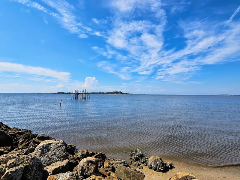 Cedar Key (Nature Coast)