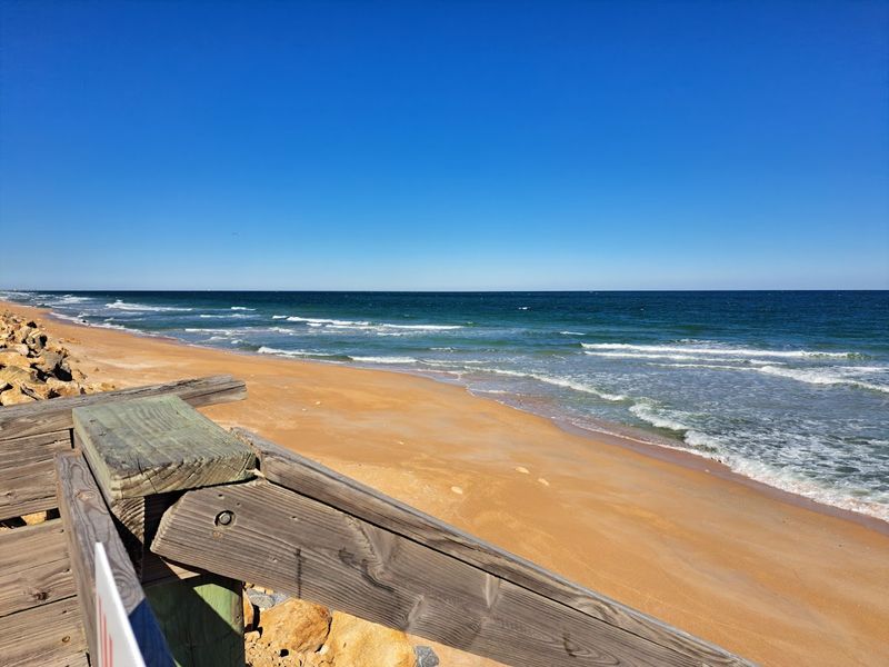 Essential Gear for Fossil Hunting Success