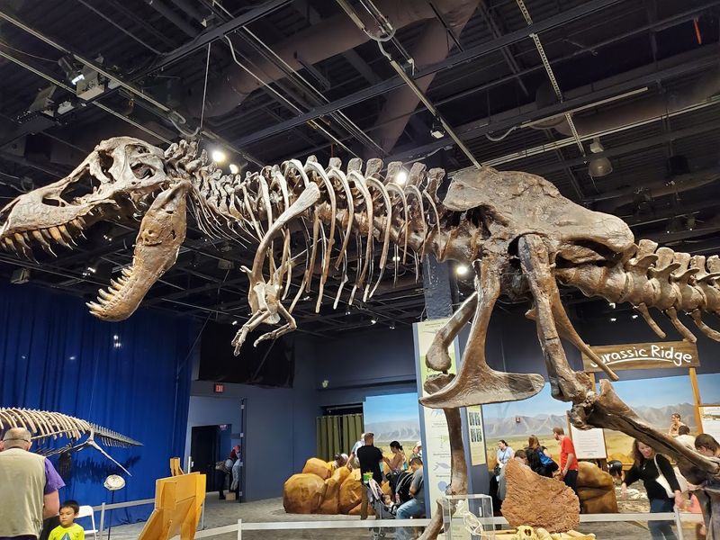 Orlando Science Center (Orlando)