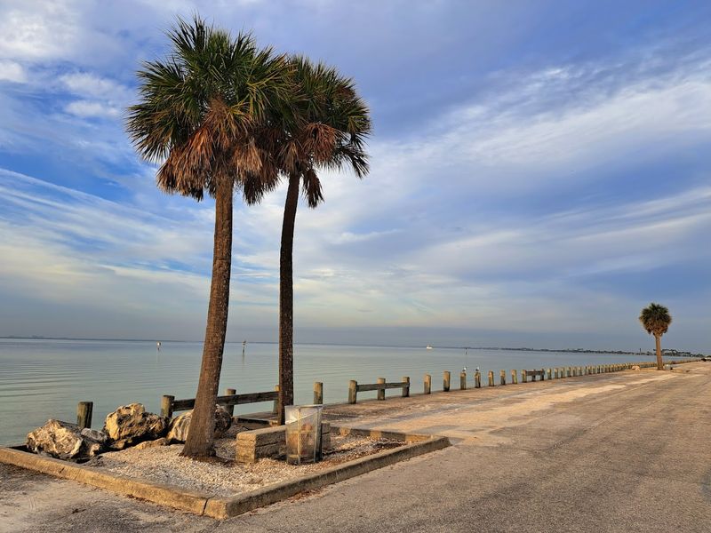 Courtney Campbell Scenic Highway