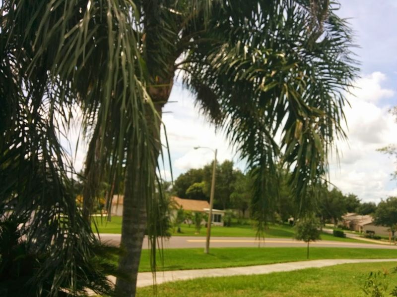 It still feels like Old Florida