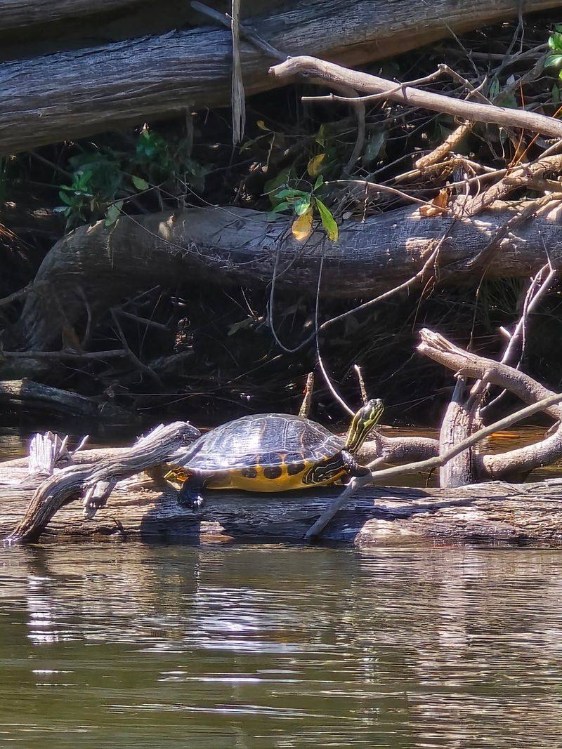 Wildlife Watching in Every Direction