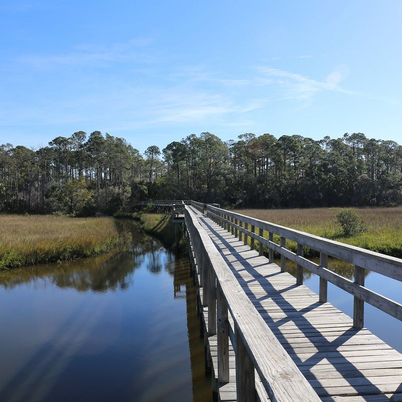 Doris Leeper Spruce Creek Preserve Observation Tower (Port Orange)