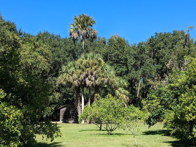 Marjorie Kinnan Rawlings Historic State Park