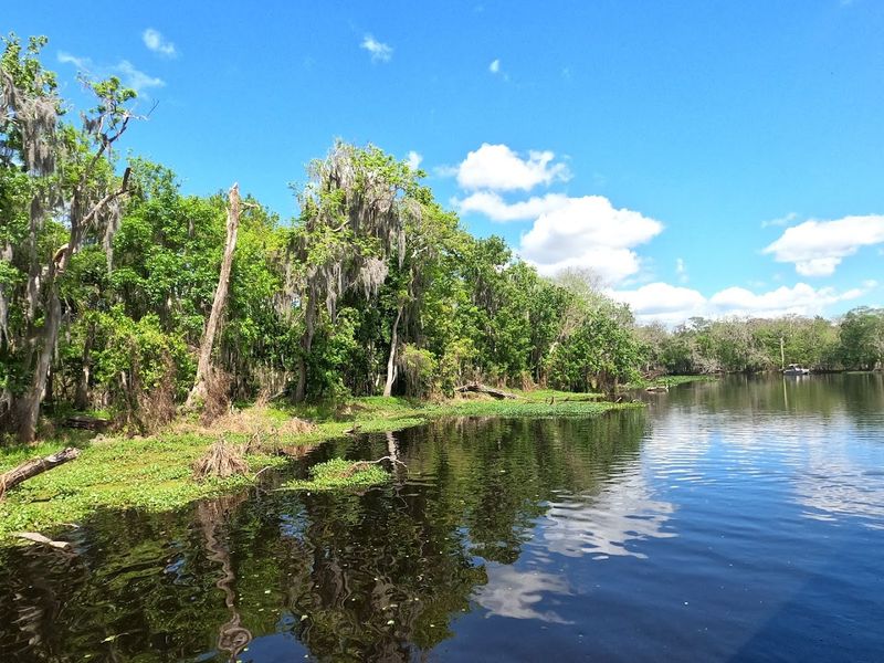 Affordable Entry Fee And Excellent Amenities