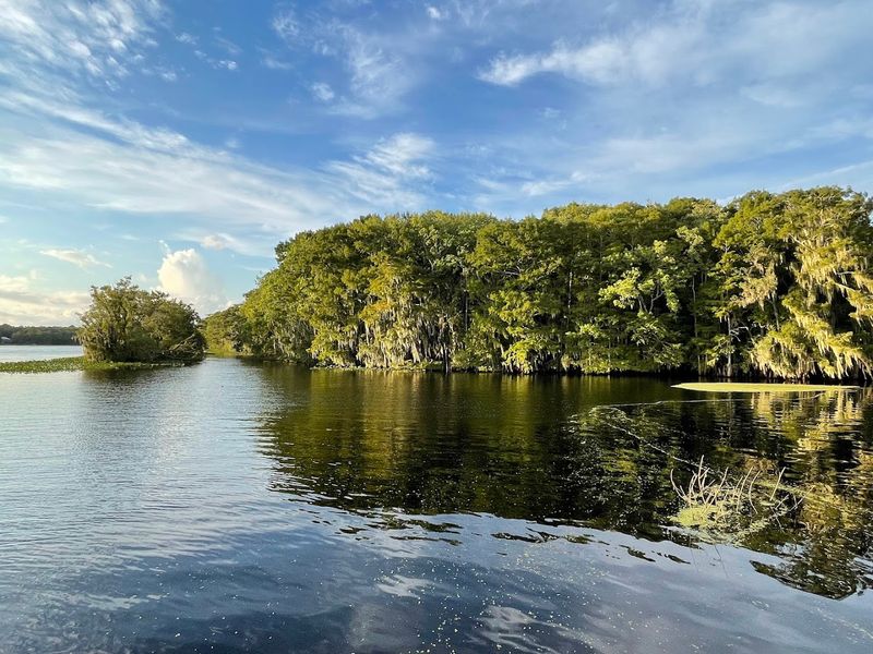 Spring Boardwalk and Upland Trails at Manatee Springs State Park