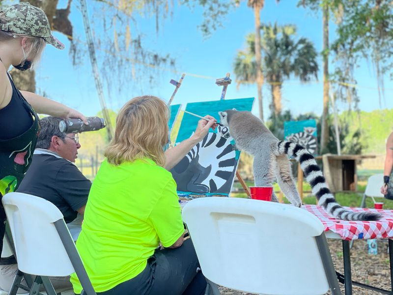 Painting With Lemurs