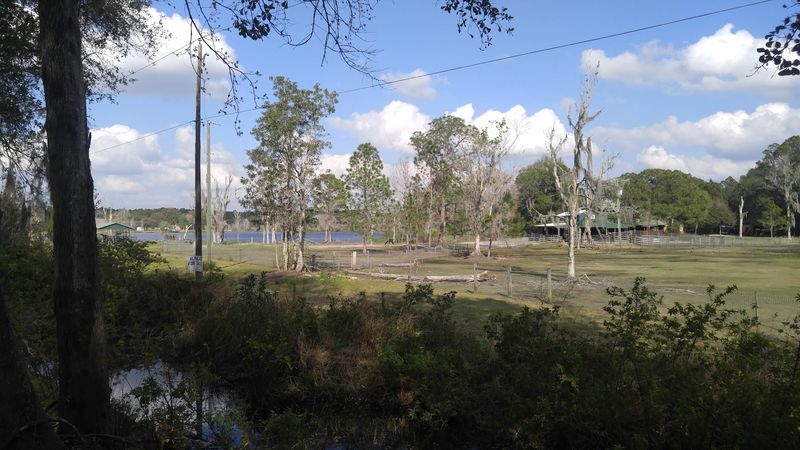 General James A. Van Fleet State Trail