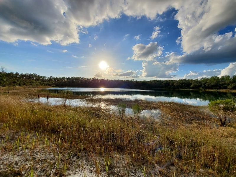 Mike Roess Gold Head Branch State Park