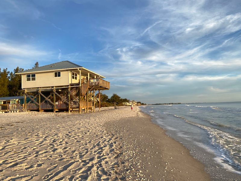 Complete Digital Detox Opportunity