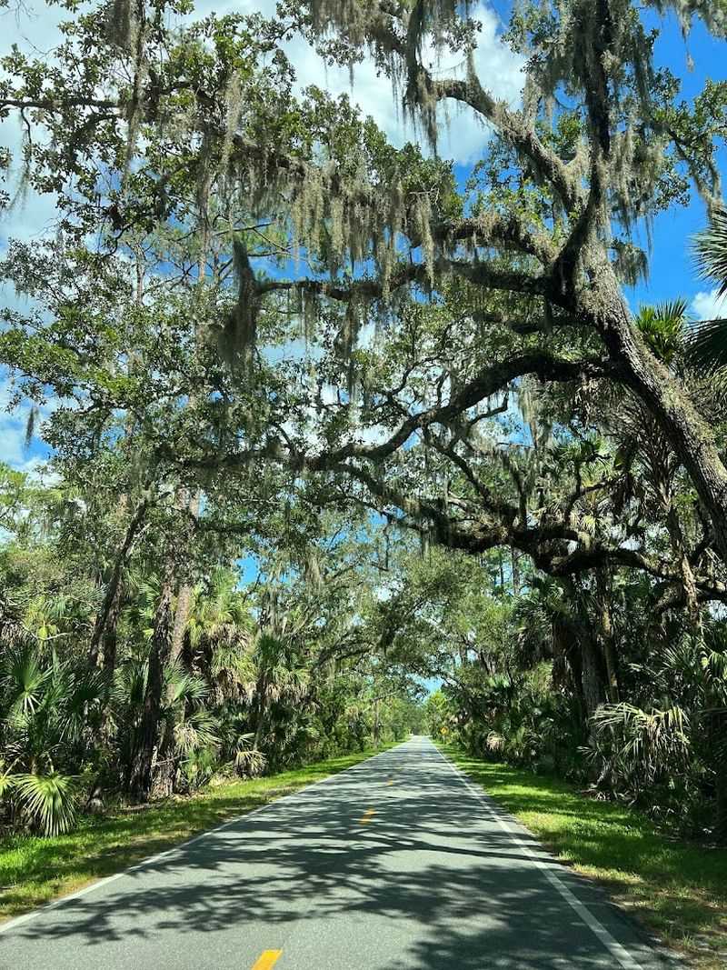 Ormond Scenic Loop & Trail (Ormond Beach)