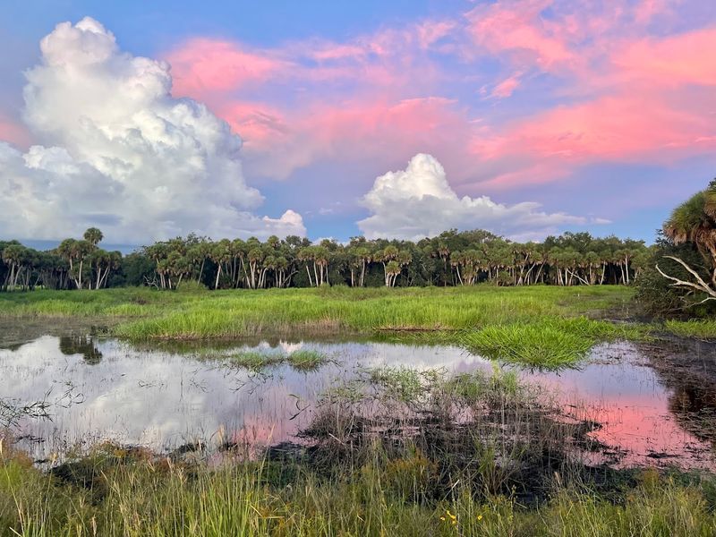 Abundant Birdwatching Opportunities