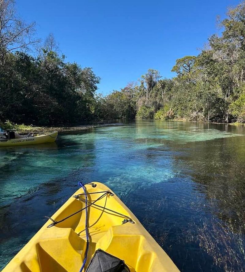 Kayaking Down the Pristine Weeki Wachee River