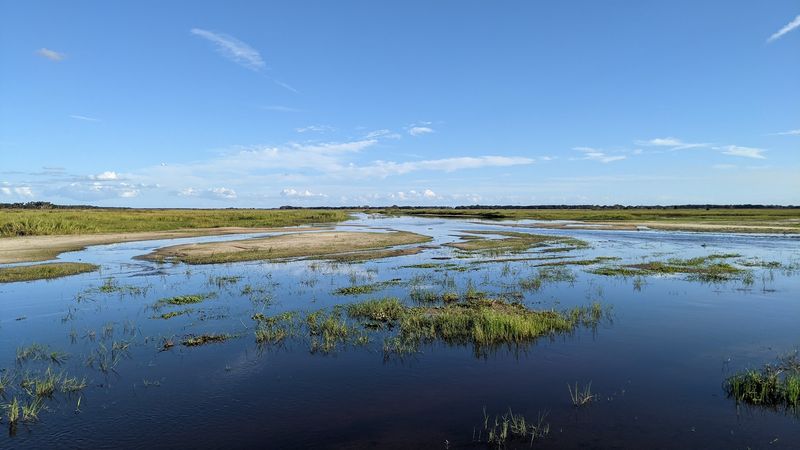 Kissimmee River Basin & Central Florida Lakes (Osceola, Polk & Highlands Counties)