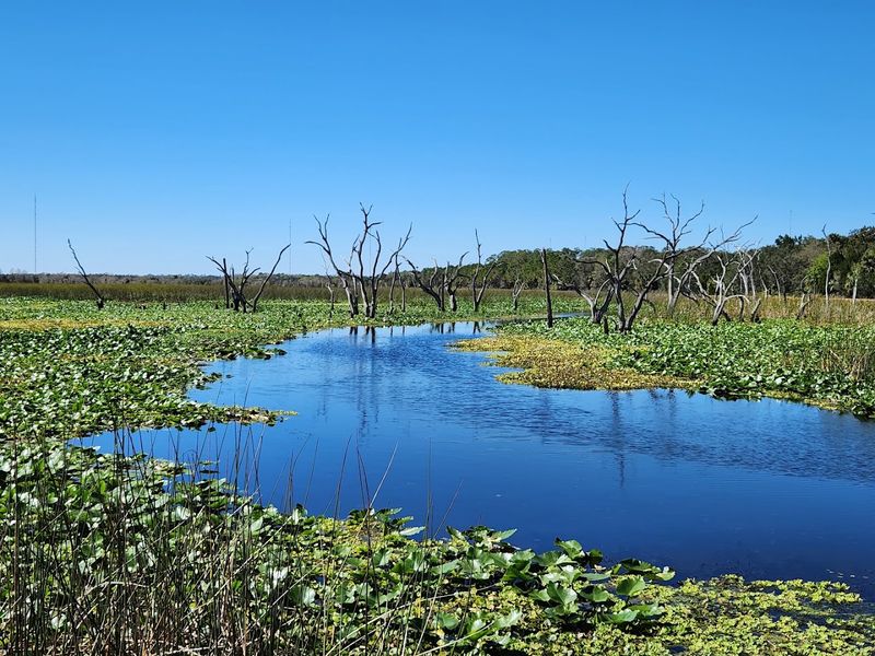 Six Miles of Trails Through Pristine Marshland