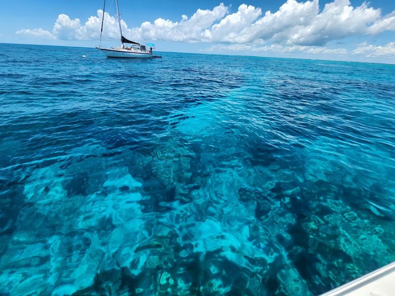 Molasses Reef (Key Largo)