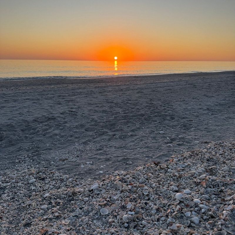 Planning Your Sunrise Shelling Adventure
