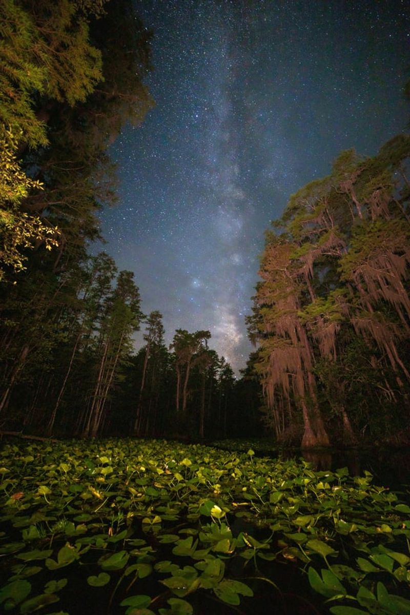 Stargazing Under One of Florida's Darkest Skies