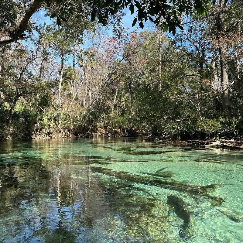 Swimming in the Natural Spring Waters