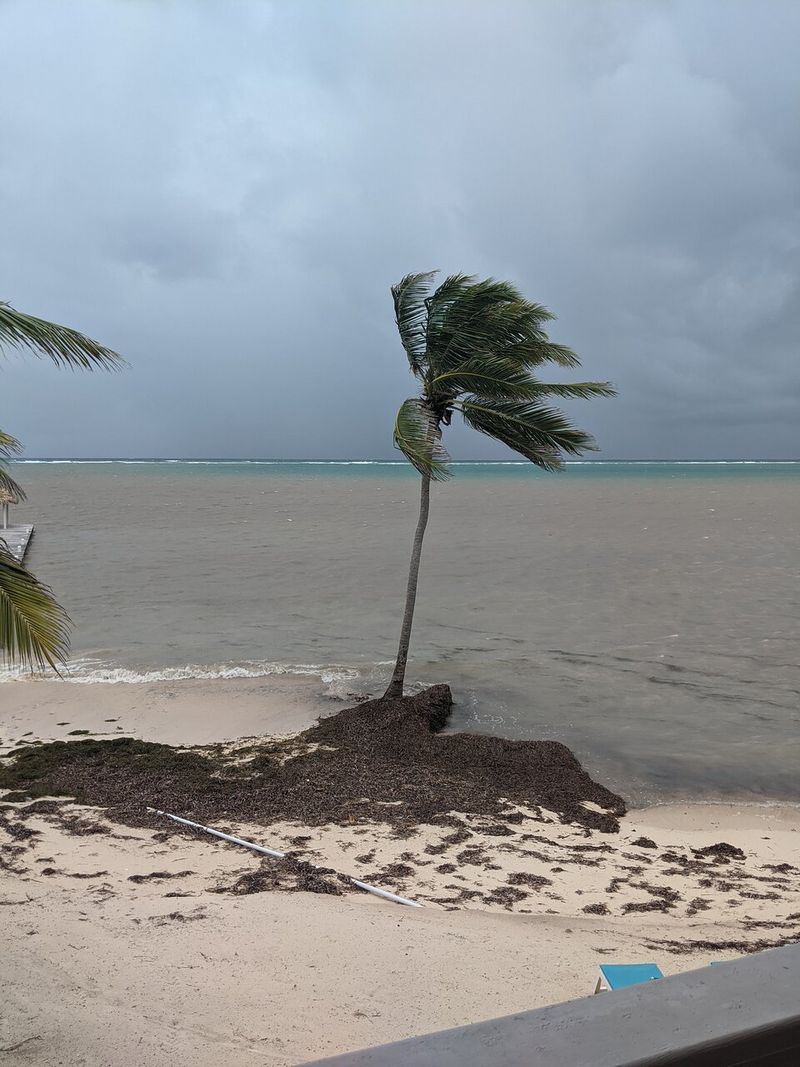 Hurricane Season Is Worth Keeping in Mind