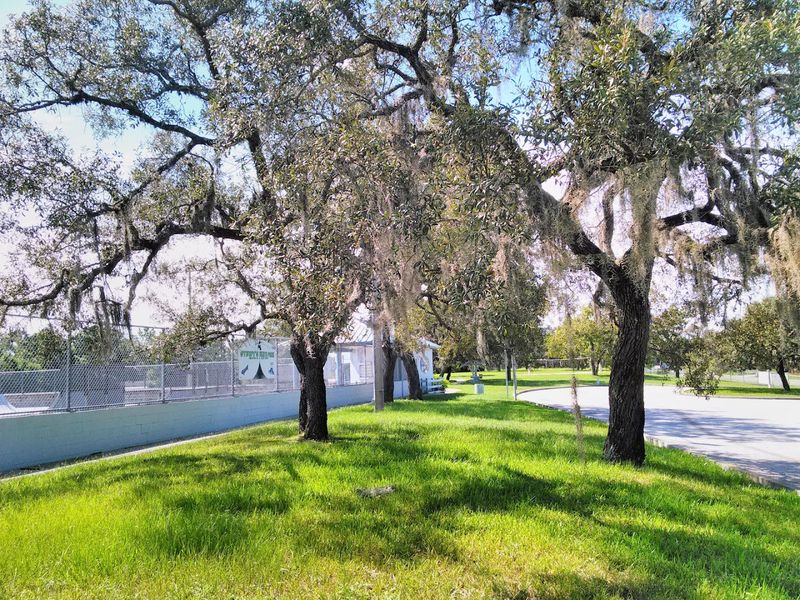 It's a practical jumping-off point for the wider Nature Coast