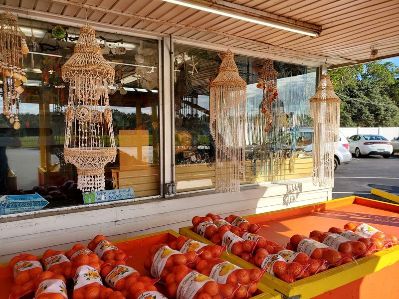 Roadside Citrus Stands and Fresh-Squeezed Orange Juice