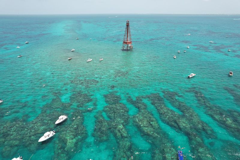 Sombrero Reef (Marathon)