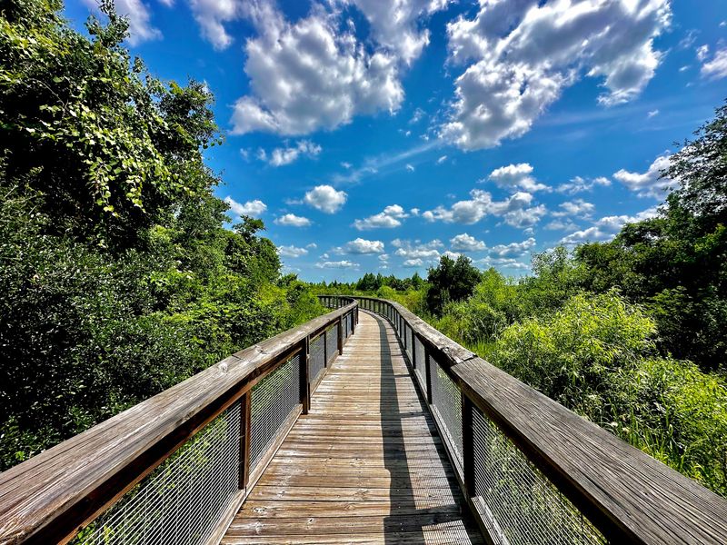 Sweetwater Wetlands Park Trails (Gainesville)