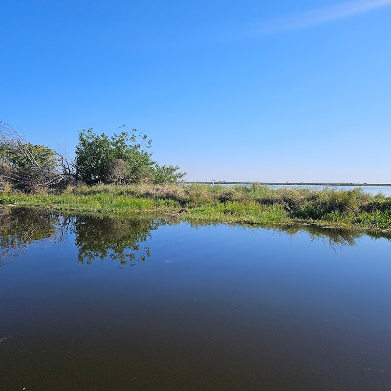 Headwaters Lake (Fellsmere Reservoir)