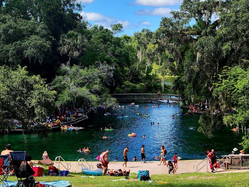 Why Wekiwa Springs Belongs on Every Florida Bucket List