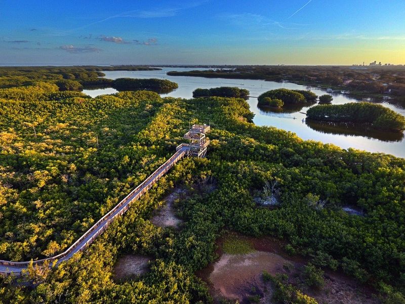 Weedon Island Preserve (St. Petersburg)