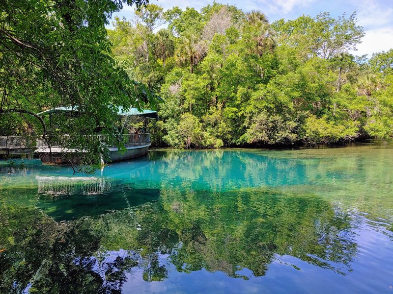 Homosassa Springs: Face to Face With Manatees