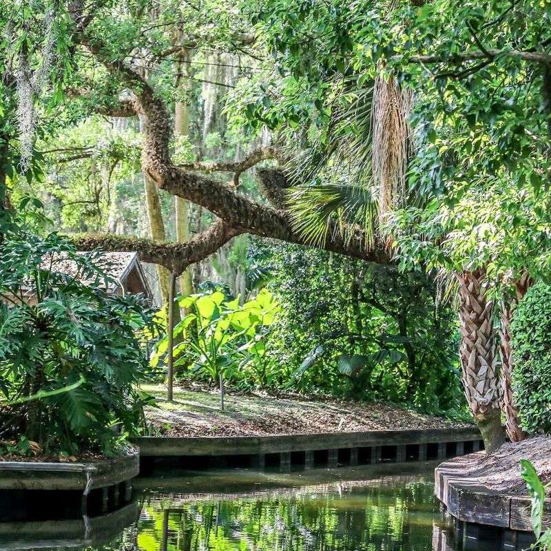 A Relaxing Break from Orlando Chaos