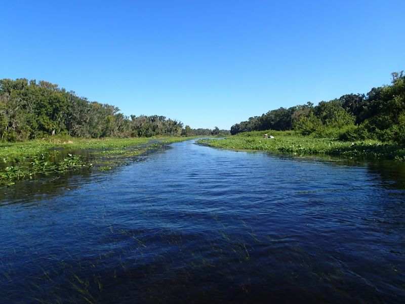 Wekiwa River (Apopka/Orlando Area)