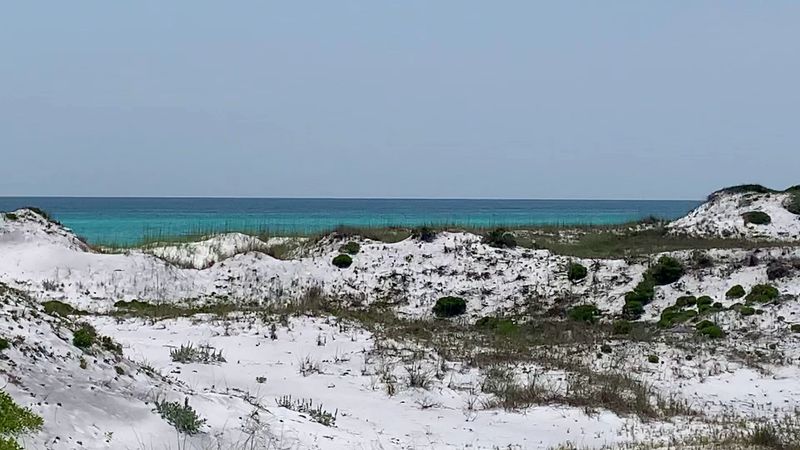 Coastal Dune Lakes Found Almost Nowhere Else on Earth