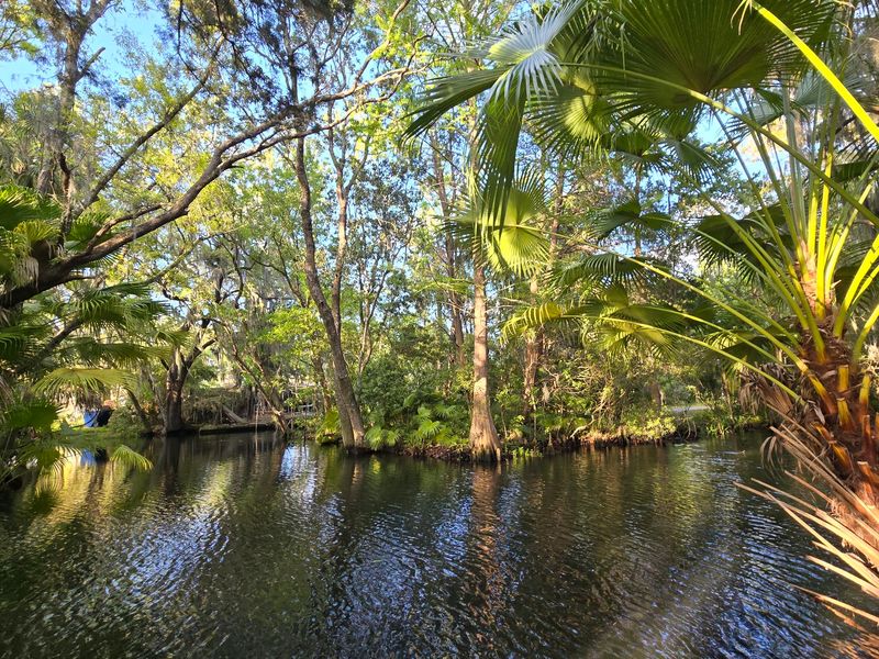 Bring Your Paddleboard for a Different Perspective