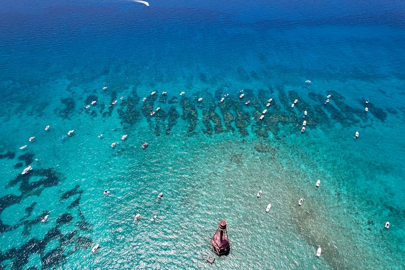 Sombrero Reef (Marathon)