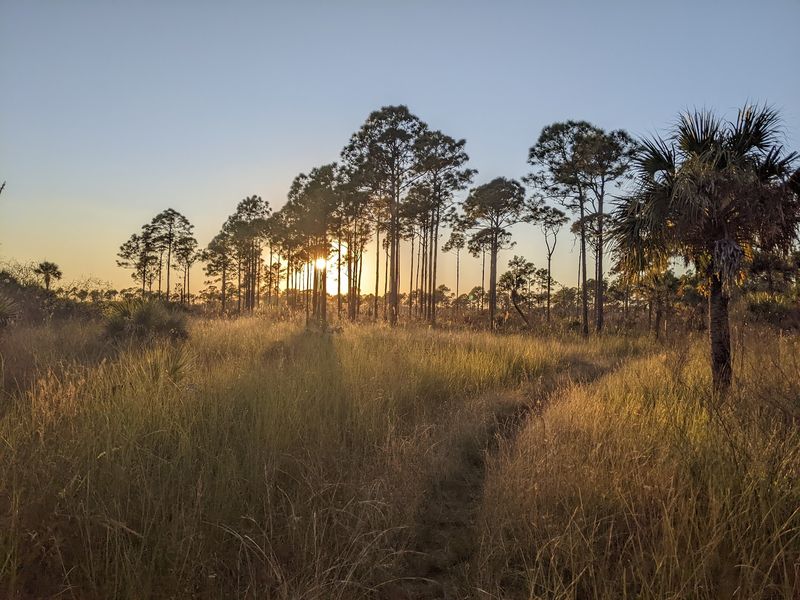 Florida Panther National Wildlife Refuge Trails (Immokalee)
