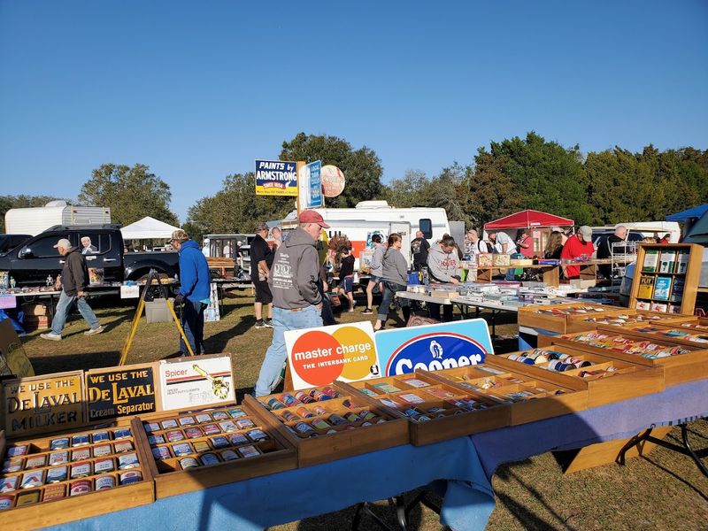 Swap-O-Rama's Webster Westside Flea Market (Webster)